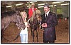 Kentucky Horse Show